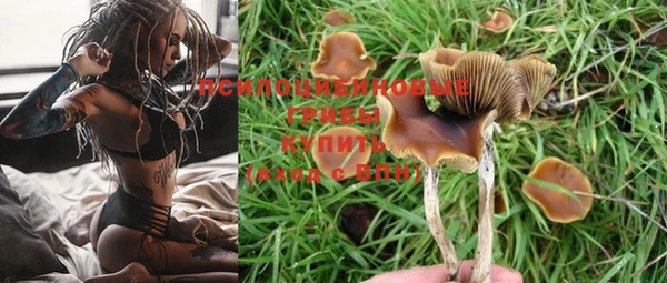 mdpv Верхний Тагил
